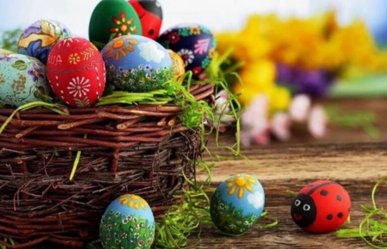 CREATOR: gd jpeg v1.0 (using IJG JPEG v62), quality = 70?